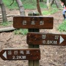 숲속의 휴식 이미지