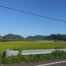 동촌소하천 이미지