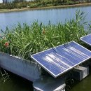 월드태양광 이미지