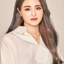에코쟈뎅대치