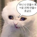 해민 - 용인시 기흥구 | 해민