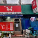 엘리트닭