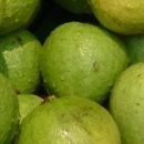 선아 농장 이미지