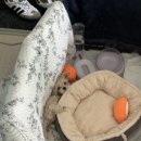 늘품동물병원 이미지