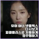 신화컴퍼니 | 유어 아너 넷플릭스 다시보기 | 종영 2년 만의 역주행 신화, 피클플러스로 저렴하게 정주행하기