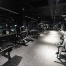 팀JJ피트니스옥계점 이미지