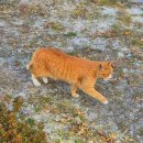 락휴 코인노래연습장 부산대점 이미지