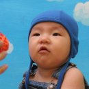 스튜디오 홍시 Daum카페