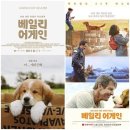 베일리 베일리 이미지