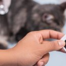 삼송동물병원 이미지