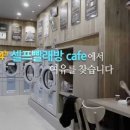 워시엔조이셀프빨래방대구 - 달서구 월배로33길 71 | 워시엔조이셀프빨래방대구