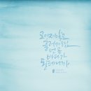 디자인상점도울캘리그라피