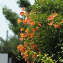 인화여자고등학교 이미지