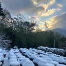 견불동산장 이미지