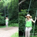 봉평농장 이미지