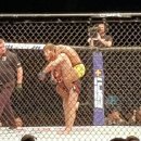 코리아화물 이미지