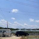 도겸농장 이미지