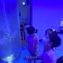 위즈캐슬유치원 이미지