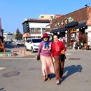 쌍화차거리 이미지