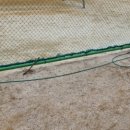 장산초등학교 운동장 이미지