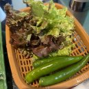 대구은행역 | 대구 수성구 가성비 소고기 맛집 이가네명인갈비살