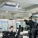 모브핏(Mauve Fit) 이미지