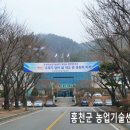 홍천군 농업기술센터 서부지소 이미지