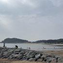 태안별빛오토캠핑장 | 태안 캠핑장 추천 해루질 체험 후기 어은돌송림캠핑장 1박 2일 완벽 가이드