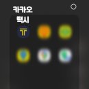 동물택시 | 반려동물 택시 이용 카카오 펫택시 후기 ft. 노견 이동 수단