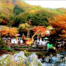 오색랜드