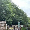 구포무장애숲길 주차장 화장실 | 부산 등산 초보 코스 추천 구포 무장애숲길 입구 주차장 시간