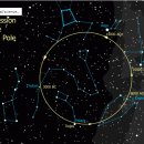 붙박이별(Polaris) 이미지