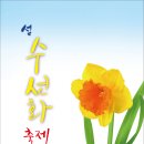수선화 - 계양구 계산천동로 6 | 수선화