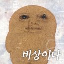 (유)알마디 | “인세인 INSANE” 유미플레이 홍대 방탈출 4인 후기: 공포영화 안에 임출근을 넣고 가둬