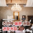 주안1동 | 주안역카페 권장커피 후기｜책 읽기 좋은 분위기의 주안역 감성카페