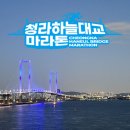 청라동 155-28, 청일초 앞 | 인천 3월 마라톤 청라하늘대교 마라톤 대회 정보 총정리