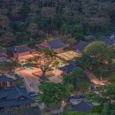 체육관 삼거리 | 서해랑길 100코스(곤릉버스정류장~대명항 대명포구)