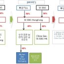 합자회사유한가스