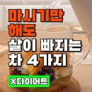 마시기만 해도 다이어트 되는 차 4 이미지