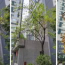 삼양카써비스 이미지