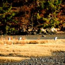 새바지길 이미지