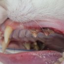 청평우리병원 이미지