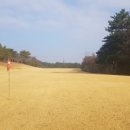 처용한의원 | 휴일날 경주신라컨트리클럽 라운드와 식사