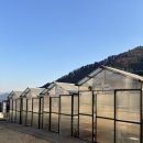 이호운동장 | [가평] 개댁 애견펜션 이호댁 솔직 후기