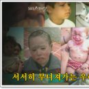 사람과먹거리 - 3048 | 사람과먹거리