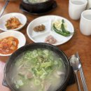 의령돼지국밥 | 해운대 국밥 맛집 의령식당 가성비 넘치는 돼지국밥 후기