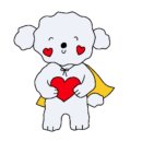 리가세탁 이미지