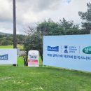 매일