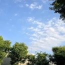 마이너즈로타리클럽 이미지