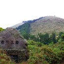 손지농장 이미지